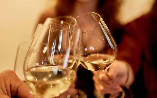 Wein - Tasting