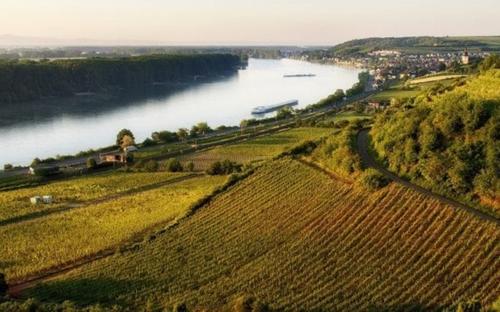 Weinwanderung